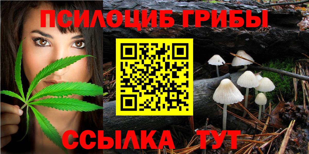 Псилоцибиновые грибы GOLDEN TEACHER  Вход с VPN  Артёмовский 